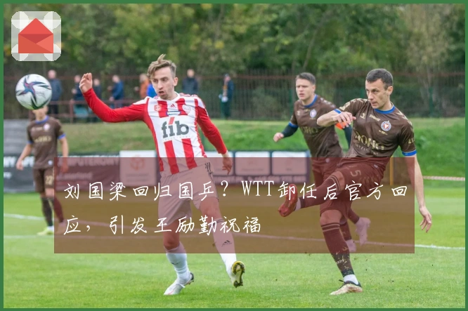 刘国梁回归国乒？WTT卸任后官方回应，引发王励勤祝福