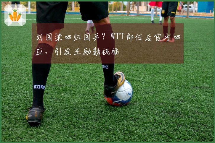 刘国梁回归国乒？WTT卸任后官方回应，引发王励勤祝福